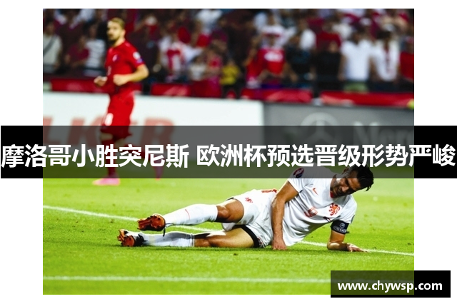 摩洛哥小胜突尼斯 欧洲杯预选晋级形势严峻
