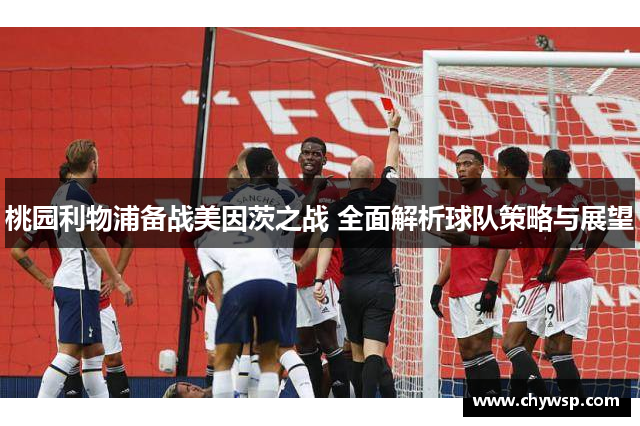 桃园利物浦备战美因茨之战 全面解析球队策略与展望