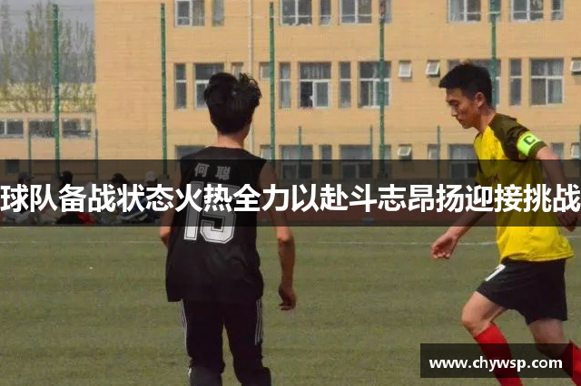 球队备战状态火热全力以赴斗志昂扬迎接挑战