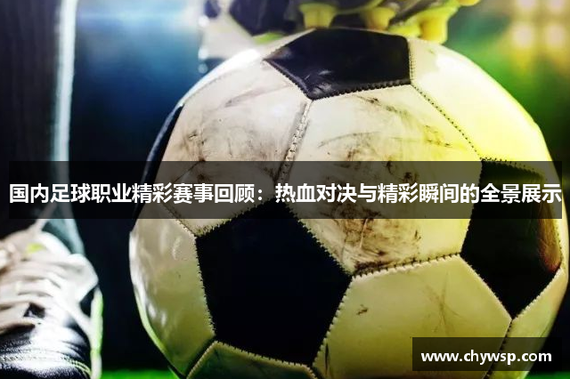 国内足球职业精彩赛事回顾：热血对决与精彩瞬间的全景展示