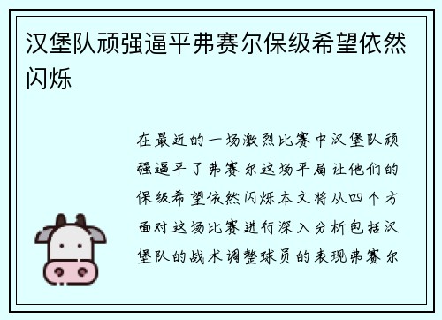 汉堡队顽强逼平弗赛尔保级希望依然闪烁