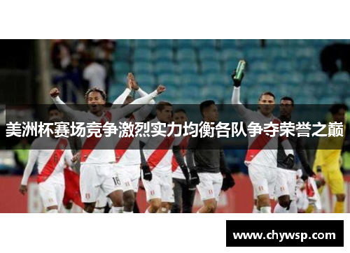 美洲杯赛场竞争激烈实力均衡各队争夺荣誉之巅