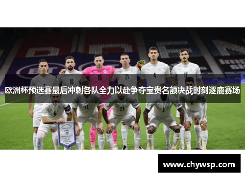 欧洲杯预选赛最后冲刺各队全力以赴争夺宝贵名额决战时刻逐鹿赛场
