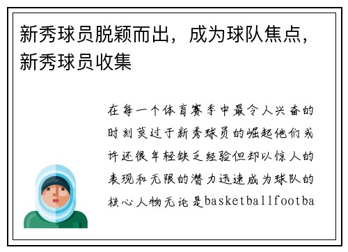 新秀球员脱颖而出，成为球队焦点，新秀球员收集