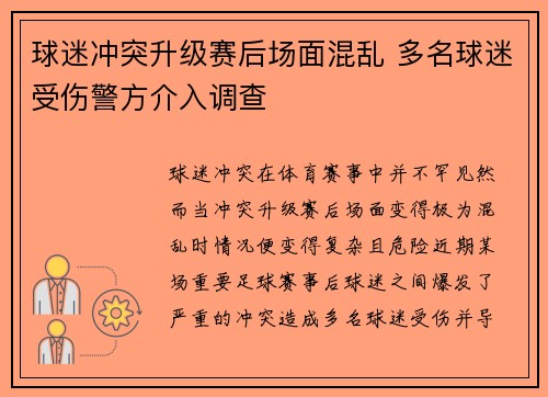 球迷冲突升级赛后场面混乱 多名球迷受伤警方介入调查
